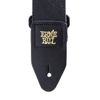 Ernie Ball 4134