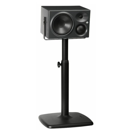 Neumann KH310 ARG Монитор студийный активный  трехполосный , правый