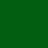 ROSCO E-COLOR+ №124 Dark Green - Светофильтр пленочный, цвет тёмно-зелёный (лист 53х61см)