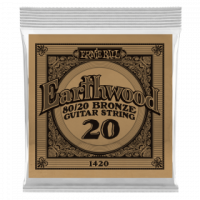 Ernie Ball .020