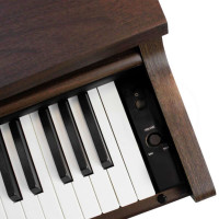 SOLISTA DP200BR Фортепиано цифровое, цвет коричневый 