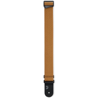 Planet Waves 50TW00